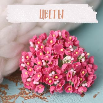 Цветы
