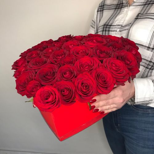 Композиция: красная роза