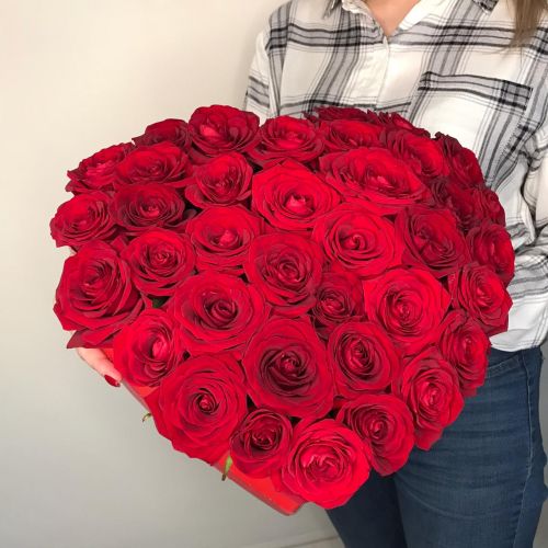 Композиция: красная роза