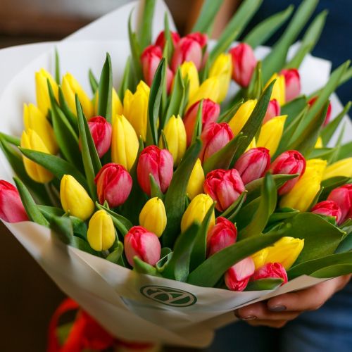 Букет из 51 тюльпана (красные и желтые)