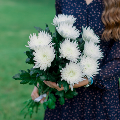 9 одноголовых хризантем