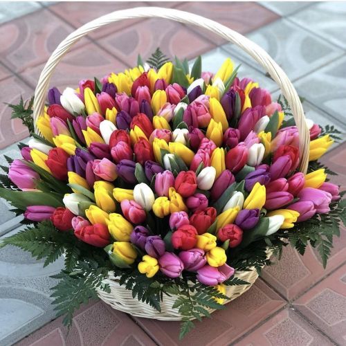 191 тюльпан в корзине