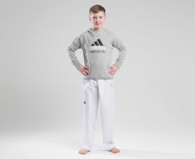 Толстовка Adidas с капюшоном (Худи) детская Community Hoody Taekwondo Kids серо-черная, размер 164, артикул adiCHTKD-K