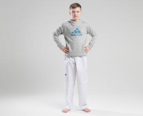 Толстовка Adidas с капюшоном (Худи) детская Graphic Hoody Kids серо-синяя, размер 152, артикул adiHG1-K