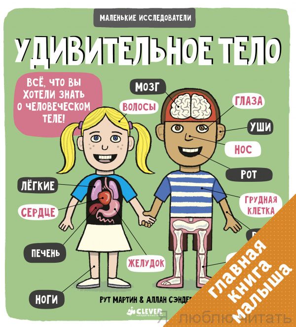 Удивительное тело (книжки с клапанами)
