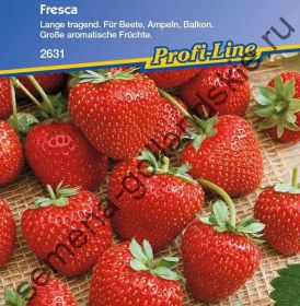 Клубника "ФРЕСКА Ф1" (Fresca F1) 10 семян