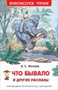 Что бывало и другие рассказы (ВЧ)