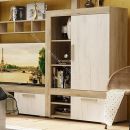 Шкаф "Ольга 19" комбинированный низкий