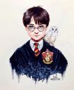 Harry Potter (Гарри Поттер)