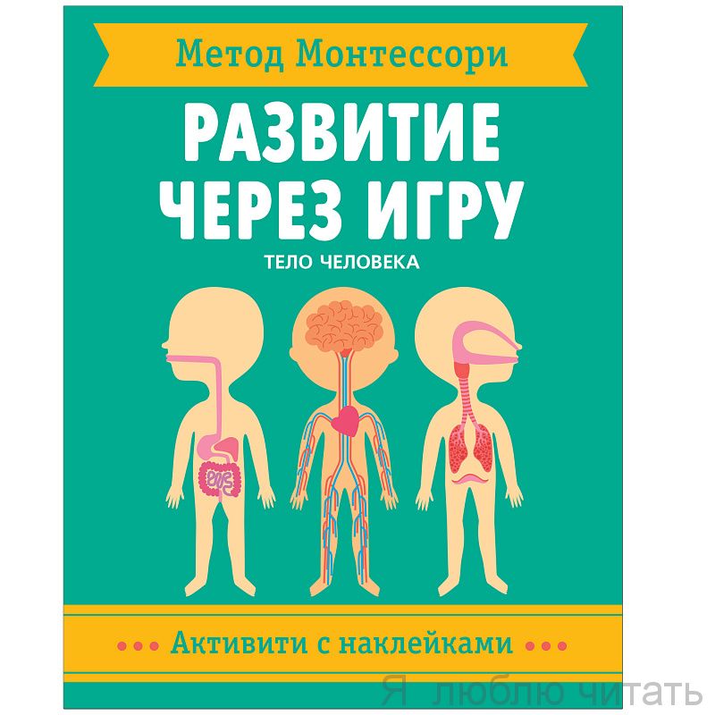 Метод Монтессори. Развитие через игру. Тело человека.