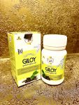 Giloy Guduchi Ghanvati Гилой Гудучи Ган Вати , 60 таб х 500 мг