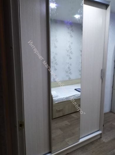 Шкаф-купе "Альянс" 1,5