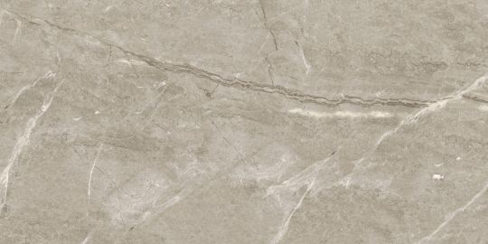 Керамогранит LeeDo: Marble Thin 5.5 - Breccia silver venato POL 120x60 см, полированный