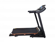 Беговая дорожка электрическая ROYAL Fitness RF-6