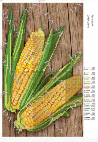 Dana DANA-2448. Кукуруза схема для вышивки бисером купить оптом в магазине Золотая Игла