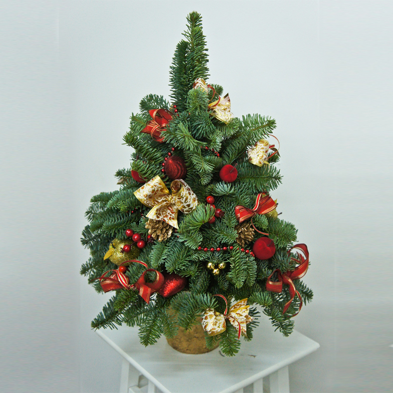 Новогодняя Ёлочка №1