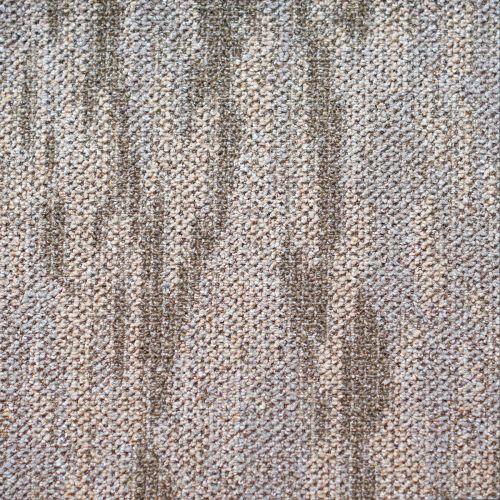 Ковролин Зартекс Терра