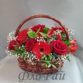 Алый закат
