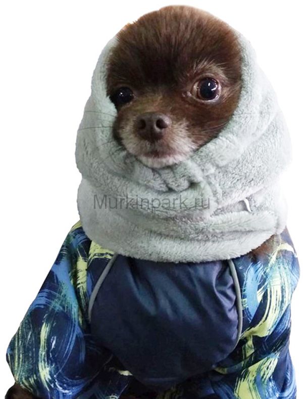 Снуд серый велюр