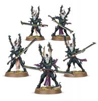 Warhammer 40,000: Drukhari Incubi