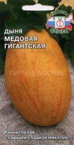 Дыня Медовая Гигантская (СеДеК)