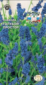 Лаванда Голубой простор (Седек)