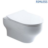 подвесной унитаз Olympia Clear CLE1202R01 без ободка