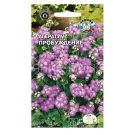 AGERATUM PROBUZHDENIE (SeDeK)