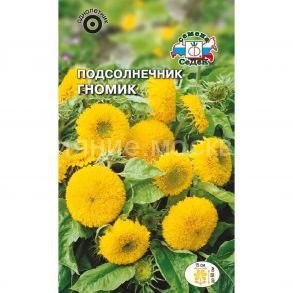 ПОДСОЛНЕЧНИК ГНОМИК (СеДеК)