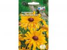 RUDBEKIYA ZOLOTOJ LUCH (SeDeK)