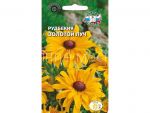 RUDBEKIYA ZOLOTOJ LUCH (SeDeK)