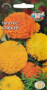 ТАГЕТЕС СПЕКТР ПРЯМОСТОЯЧИЙ (СеДеК)