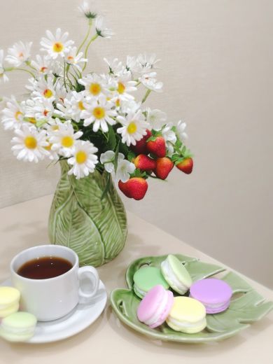 ~Набор макарун~