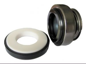 Торцевое уплотнение Pedrollo AR-12V арт. 11516101203