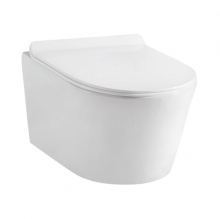 УНИТАЗ ПОДВЕСНОЙ DELICE FRANCE LORRAINE SUSPENDU SOFT-CLOSE