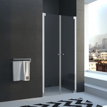 Душевая дверь Veconi Vianno распашная VN58-90-01-19C2 Душевая дверь Veconi Vianno распашная VN58-90-01-19C2