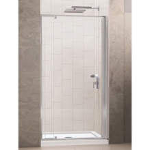 Душевая дверь в нишу RGW PA-02 04080207-11 Душевая дверь в нишу RGW PA-02 04080207-11