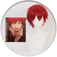 Парик Karma Akabane