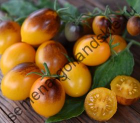 Томат "ИНДИГО КУМКВАТ Ф1" (Indigo Kumquat F1) 10 семян