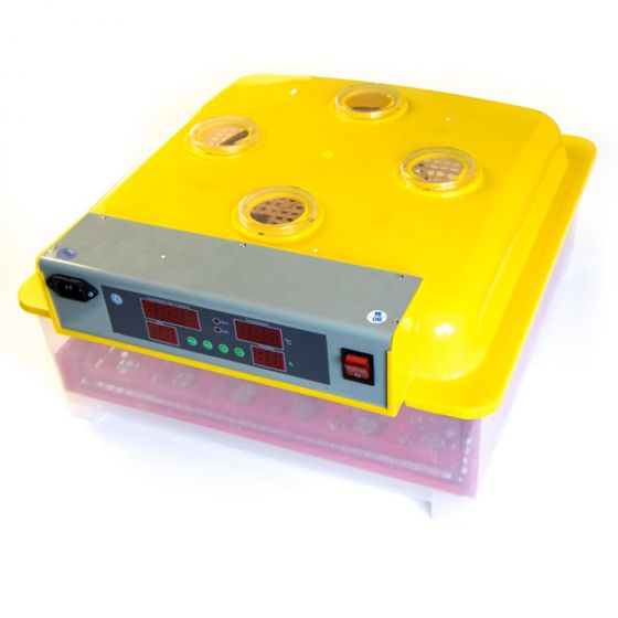 Инкубатор для яиц автоматический И-36