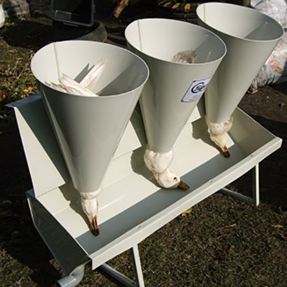 Стойка для убоя птицы «Спрут-3Л»