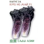 Капуста пекинская Куро Но Май F1 (Сады Азии)