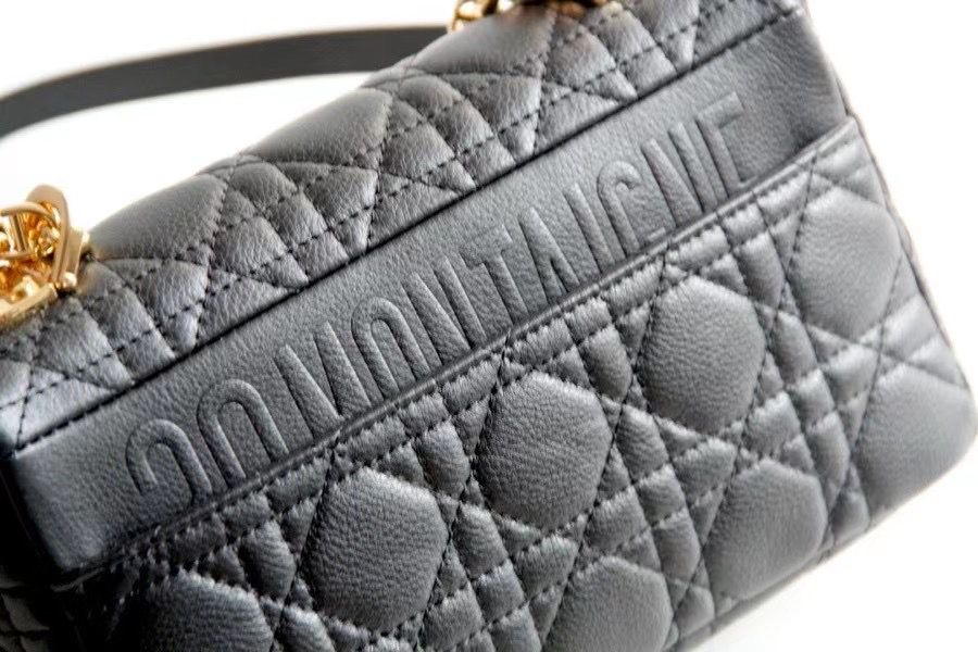 Dior Montaigne30 20 cm