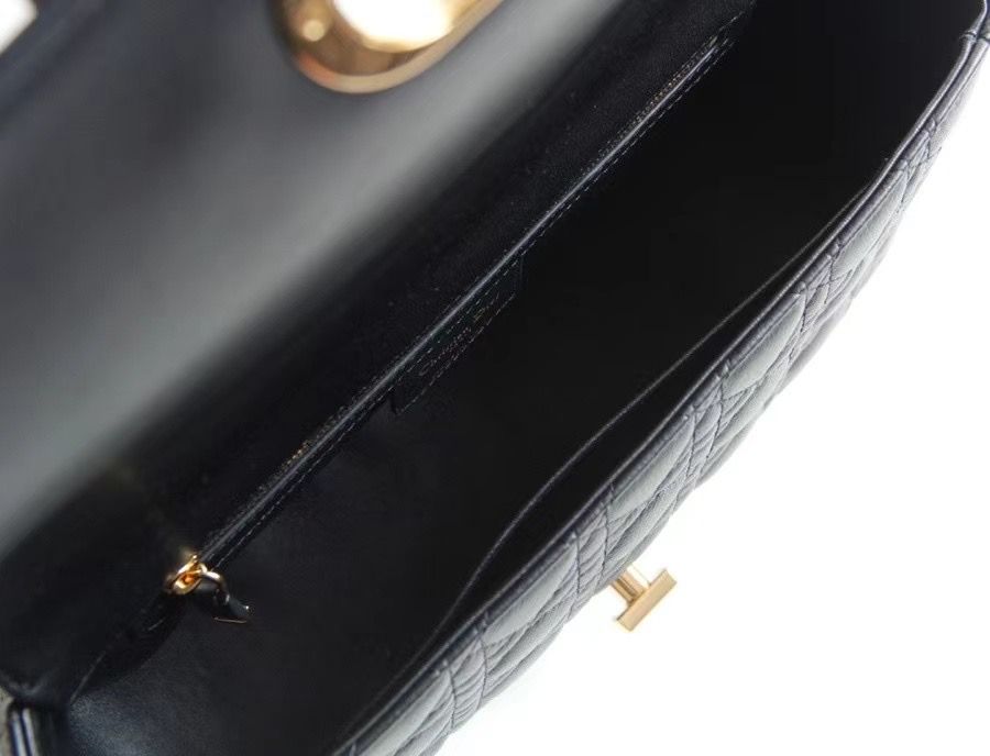 Dior Montaigne30 20 cm