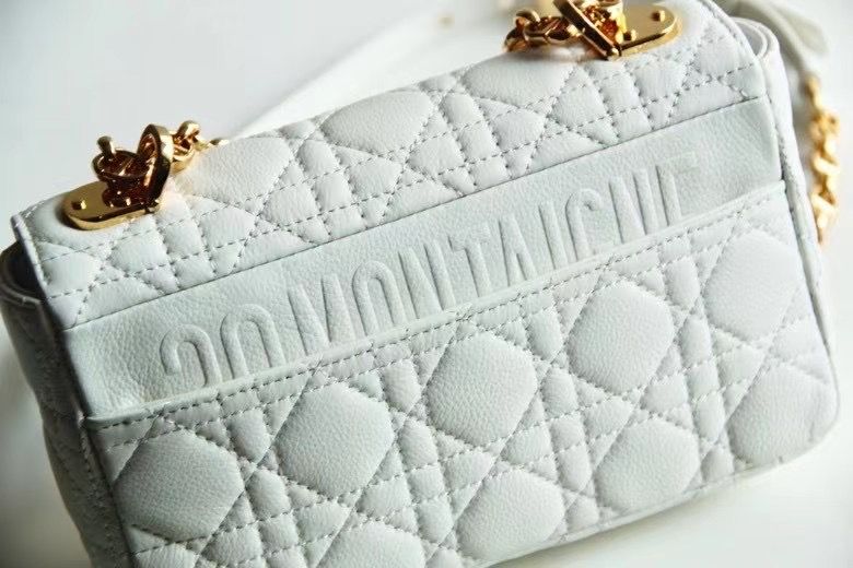 Dior Montaigne30 20 cm