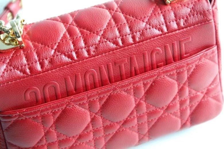 Dior Montaigne30 20 cm