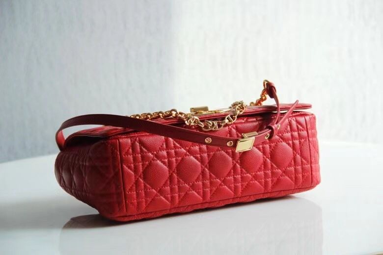 Dior Montaigne30 28 cm