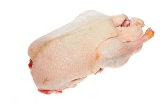 Утка мускусная