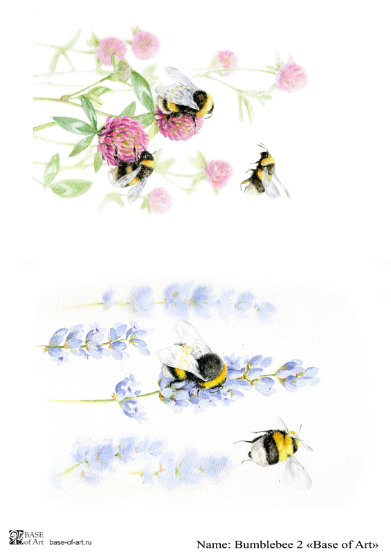 Декупажная карта Base of art, 20*30 см, Bumblebee 2