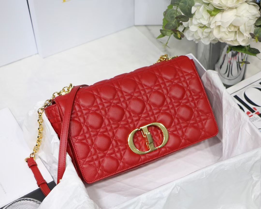 Dior 28x17x9 cm